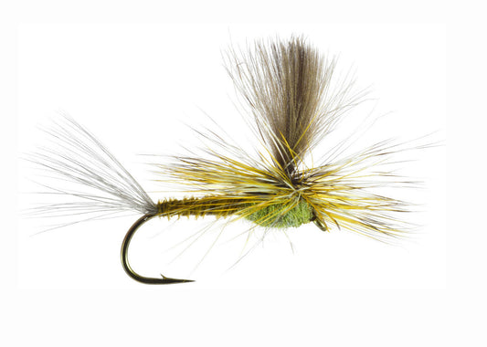 Parachute Green Drake