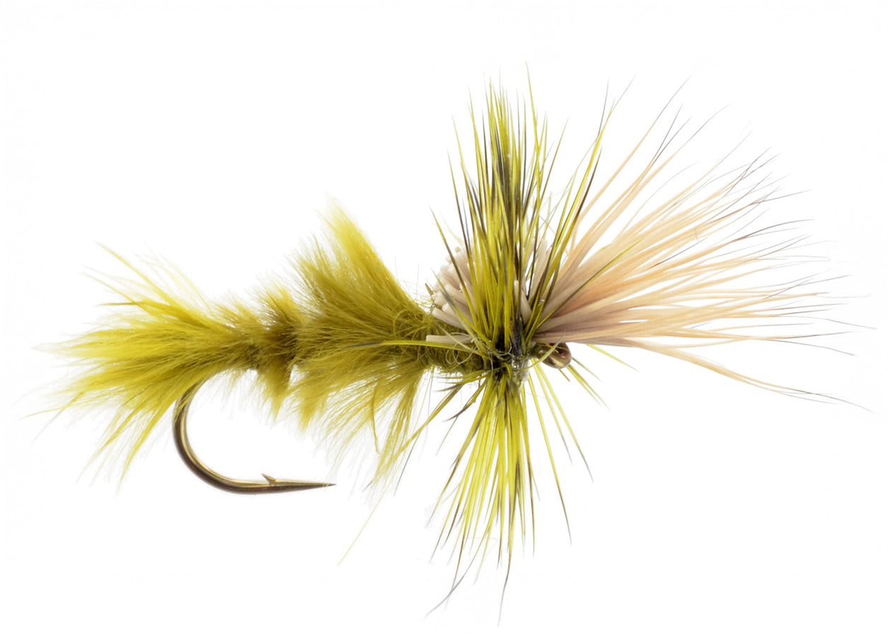 Mayfly Cripple