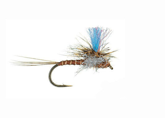 Guide Winna Spinna