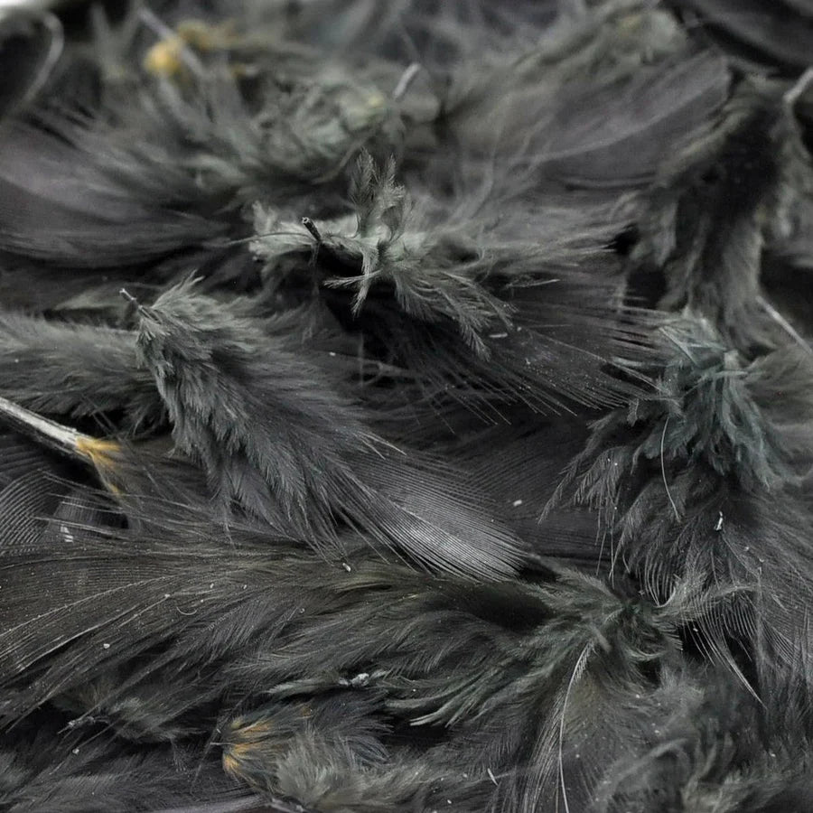 Hungarian Partridge Body Feathers
