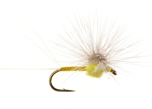 HACKLE STACKER QUIGLEY