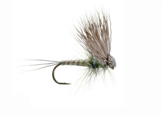 Hairwing Dun