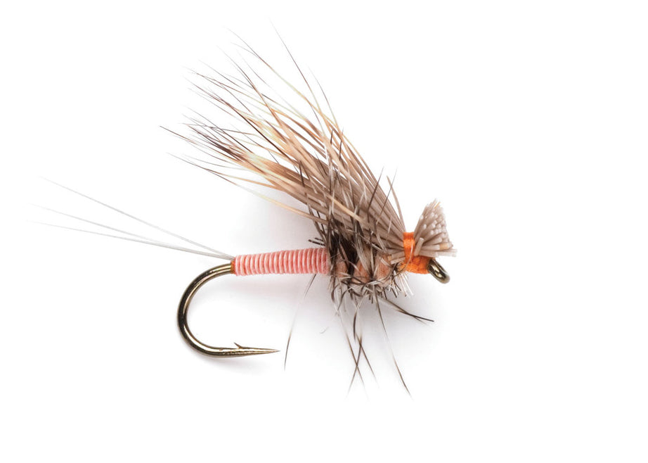 Hairwing Dun