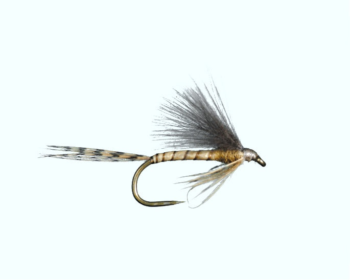 CDC Biot Emerger