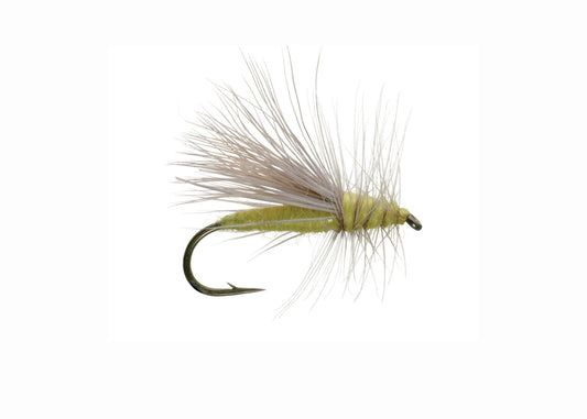 Lawson's Yellow Sally
