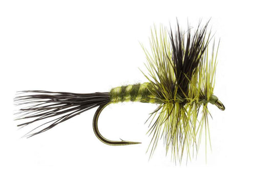 Lawson's Green Drake Wulff