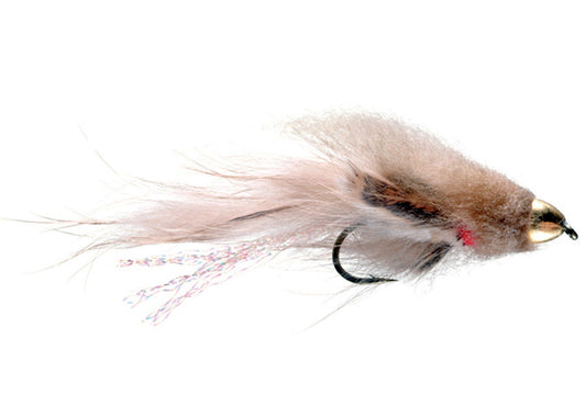 Lawson's Conehead Sculpin
