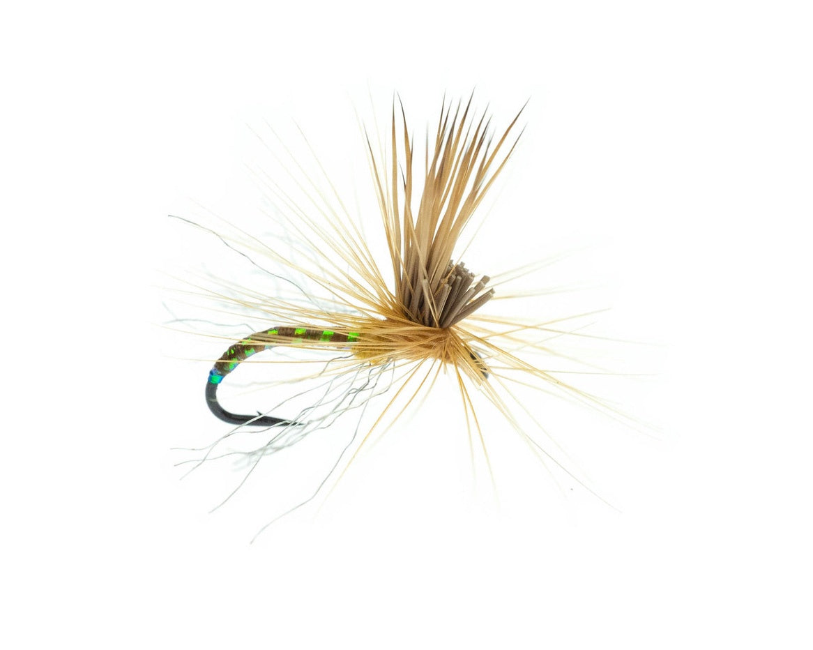 Missing Link Caddis