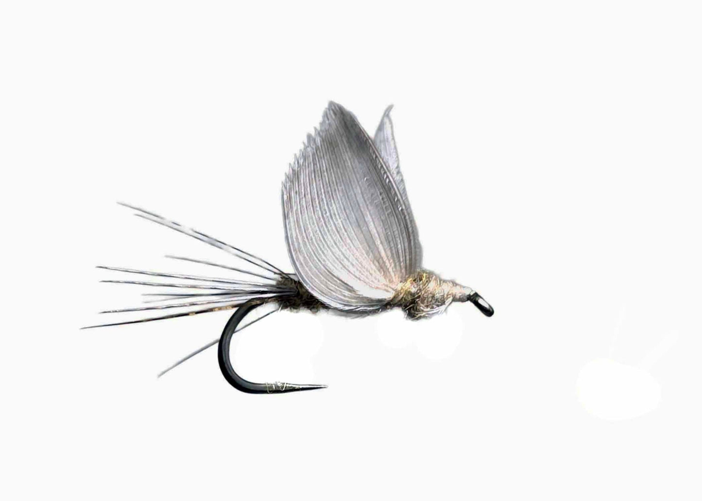 Lawson's No Hackle