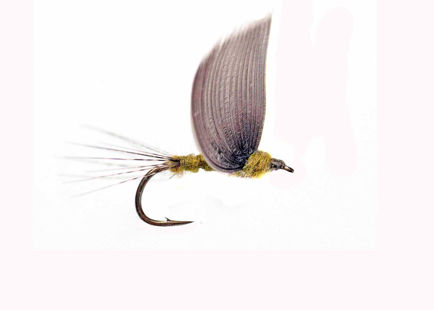 Lawson's No Hackle