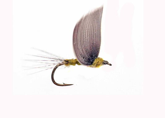Lawson's No Hackle