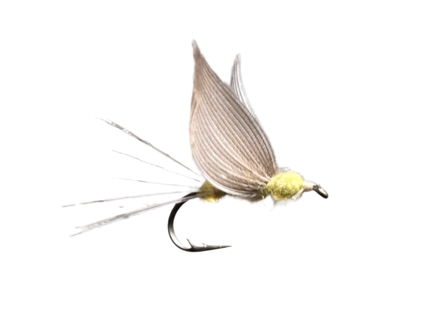 Lawson's No Hackle