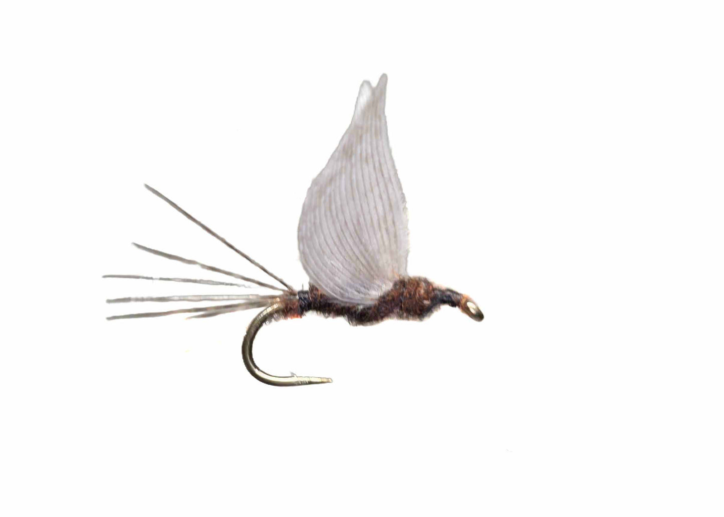 Lawson's No Hackle