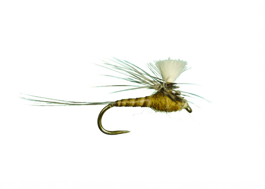 CDC Para. Spinner