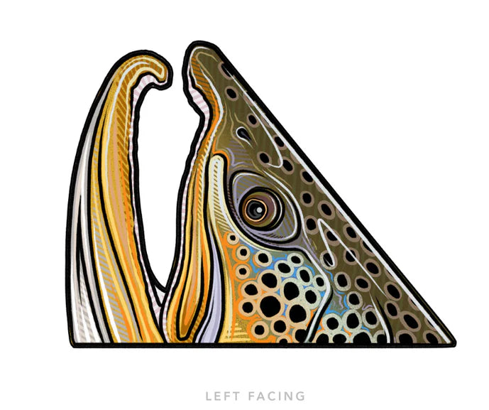 Casey Underwood Specialty Fish Decals