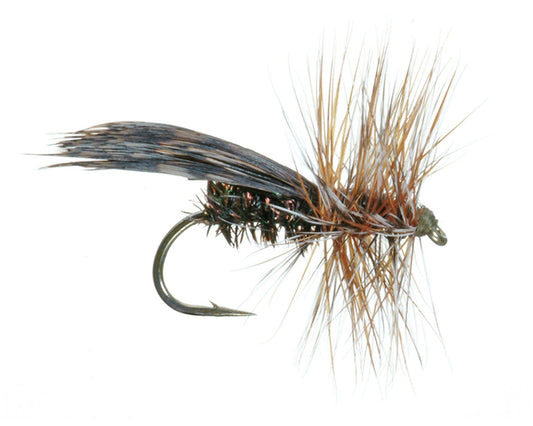 Spent Partridge Caddis