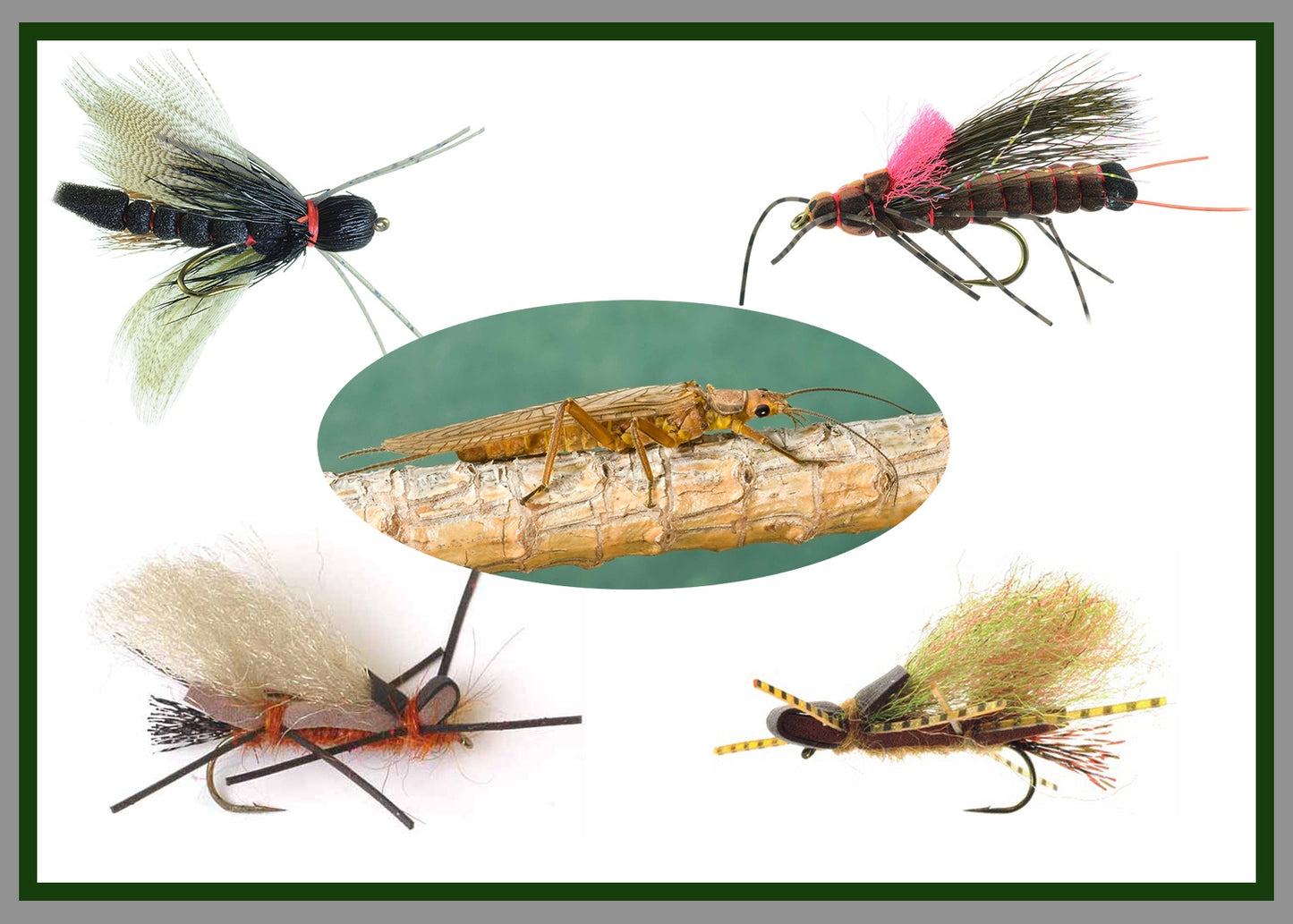 Stonefly Dry Fly Assortment