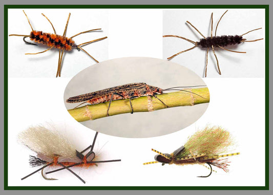 Stonefly Assortment