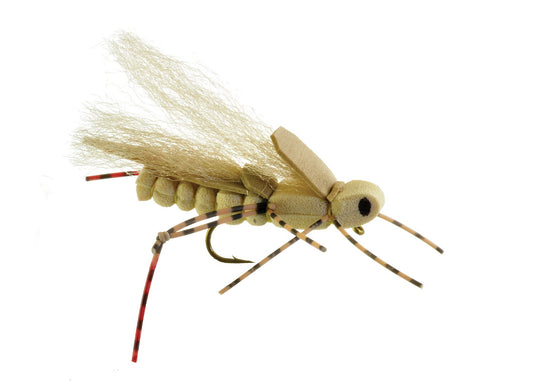 Sweetgrass Hopper