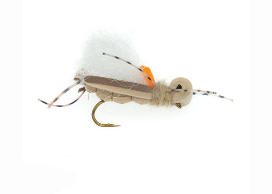THUNDER THIGHS HOPPER