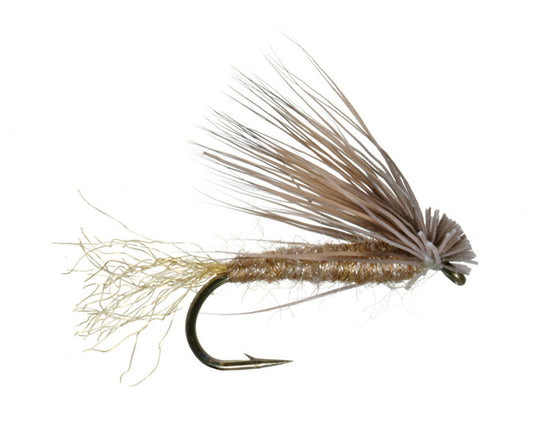 X Caddis