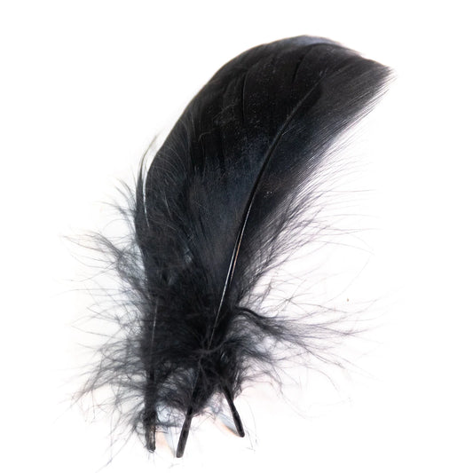 Mallard Flank Large Select