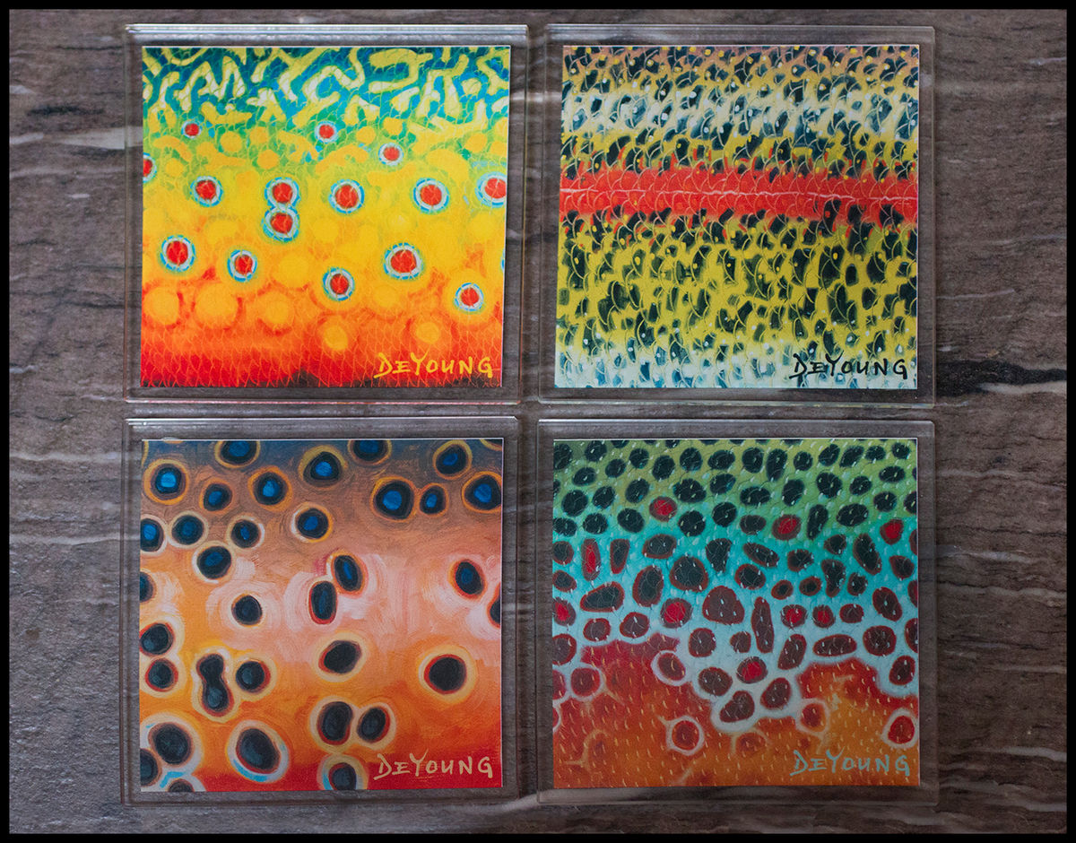 Derek DeYoung Fish Flank set of four glass coasters featuring Brown, Brook, Cutthroat, and Rainbow Trout artwork