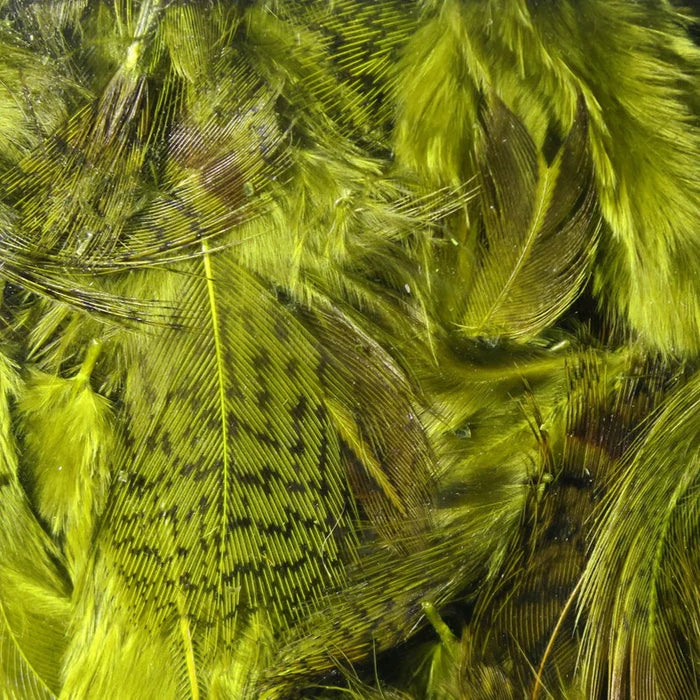 Hungarian Partridge Body Feathers