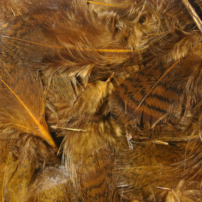 Hungarian Partridge Body Feathers