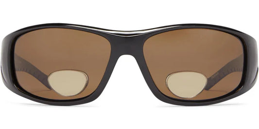 FE Polar View