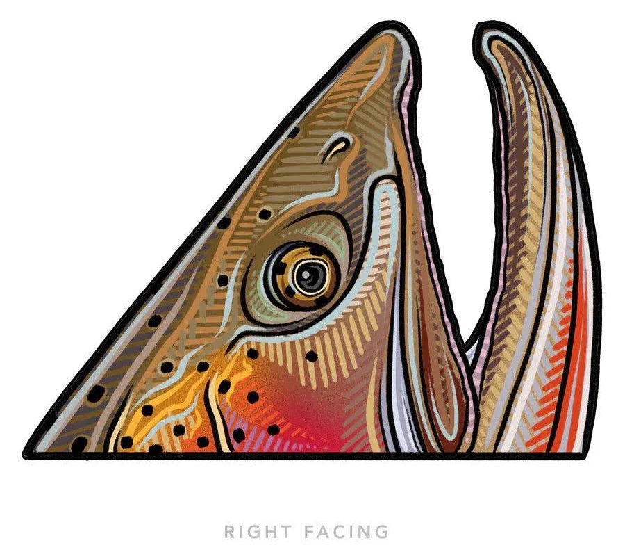Casey Underwood Specialty Fish Decals