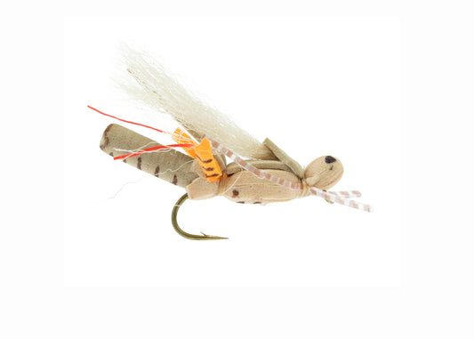 Thunder Grass Hopper