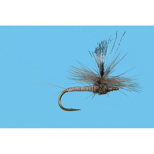Up Oz Callibaetis Spinner